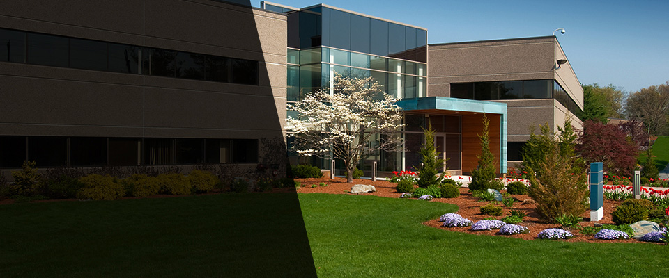 Annandale Landscapers