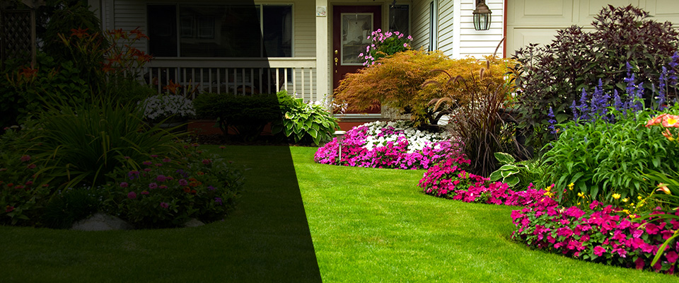 Annandale Landscapers
