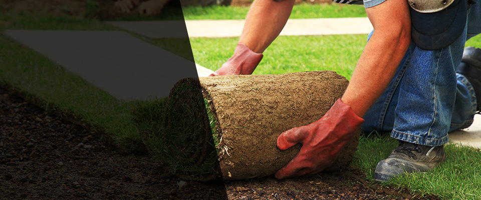 Annandale Landscapers